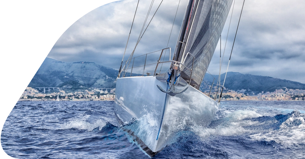 img Synopsis img Synopsis