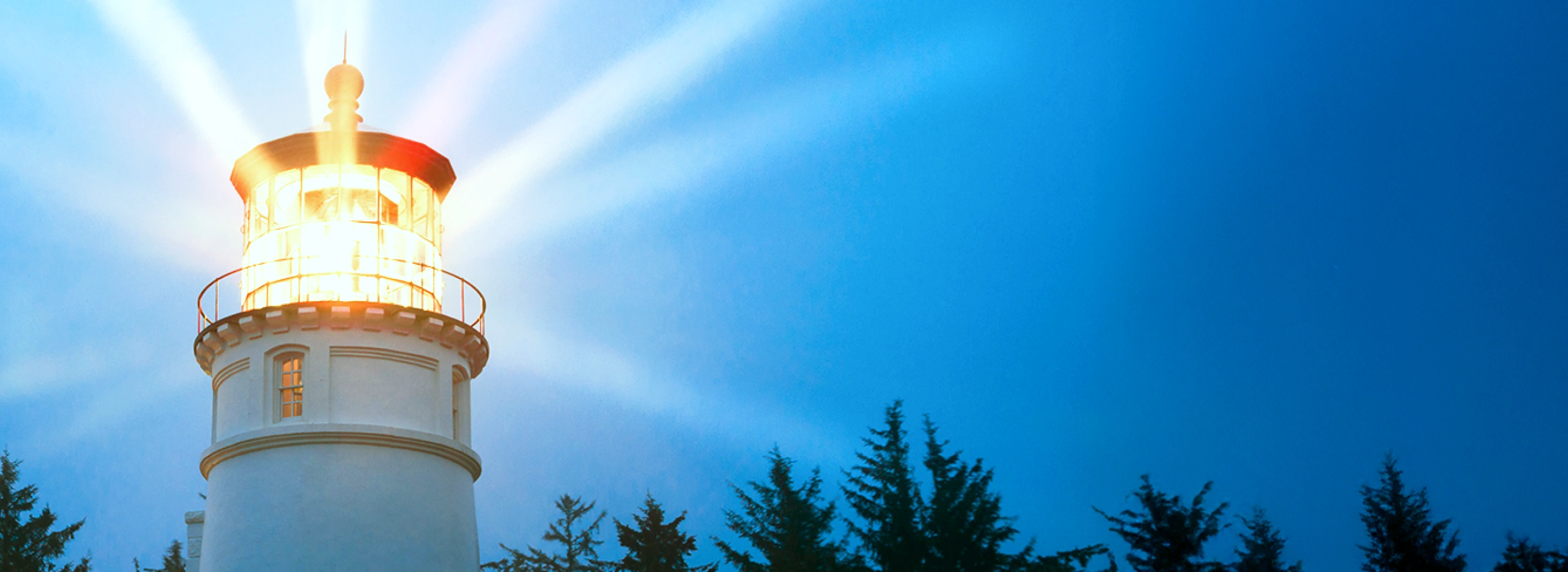 Discoverability-to-Revenue: Building Trust in  an AI-Enabled Era