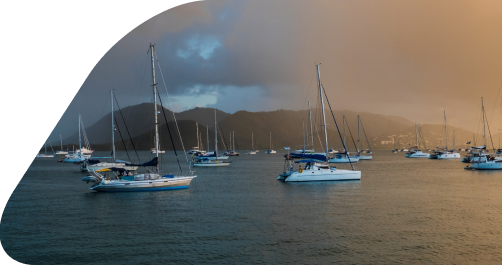 img Synopsis img Synopsis